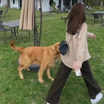 风流模特儿